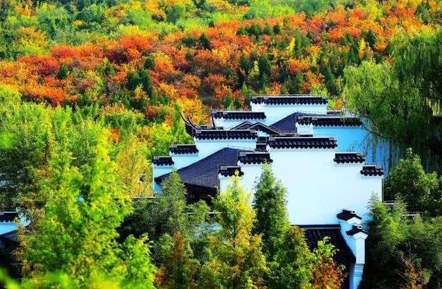 北京11月看红叶的地方