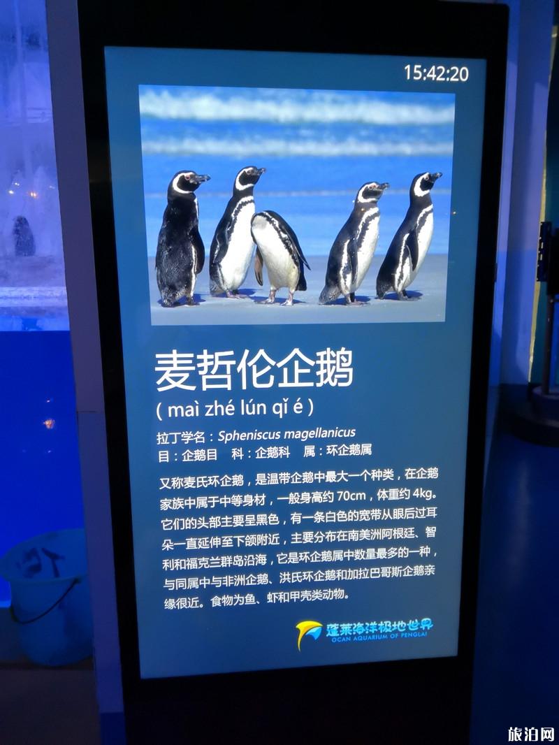 蓬莱三日游旅游攻略 蓬莱三日游景点推荐