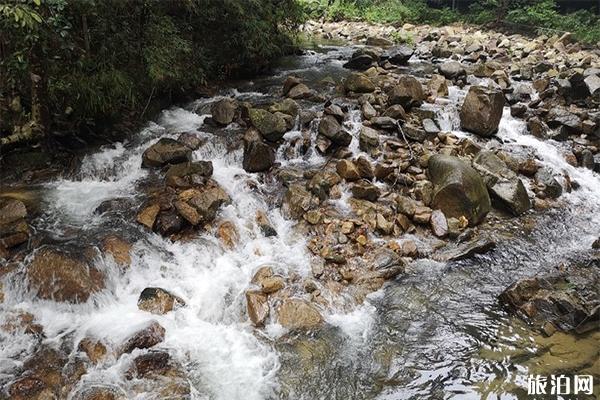 惠州南昆山国家森林公园好玩吗 自驾游路线