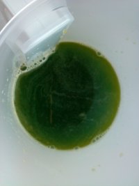 西瓜皮汁的做法步骤6
