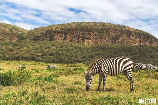 狮子王取景地是哪儿 狮子王取景地是哪儿