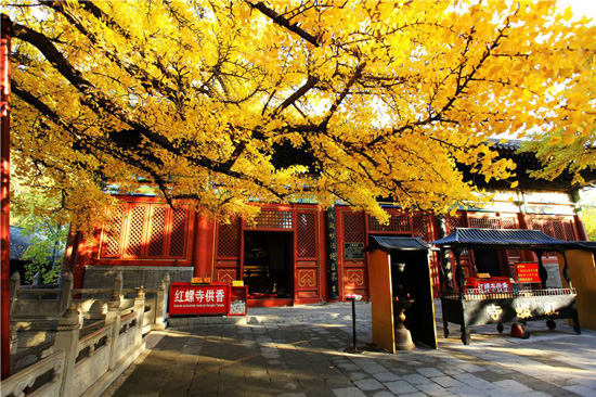 北京红螺寺位置在哪里 去红螺寺怎么走