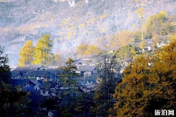 妥乐银杏村门票多少钱 妥乐古银杏村旅游攻略 妥乐银杏村门票多少钱 妥乐古银杏村旅游攻略