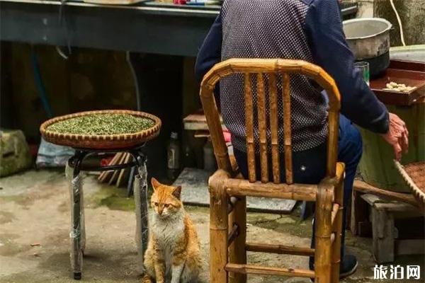 宁波四明山住宿哪里好+吃在哪里