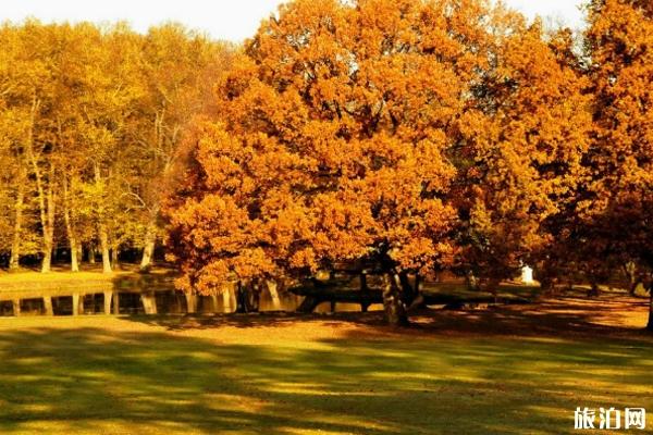 秋天国内最佳旅游地 秋天适合去什么地方旅游