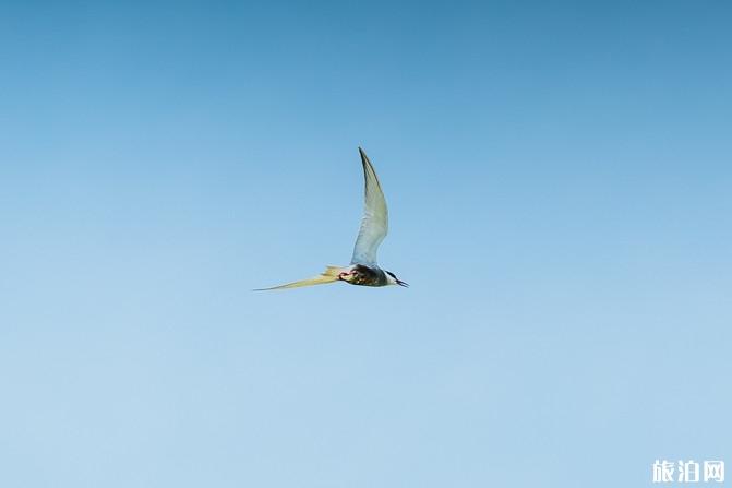 宁夏自驾游攻略及花费最新