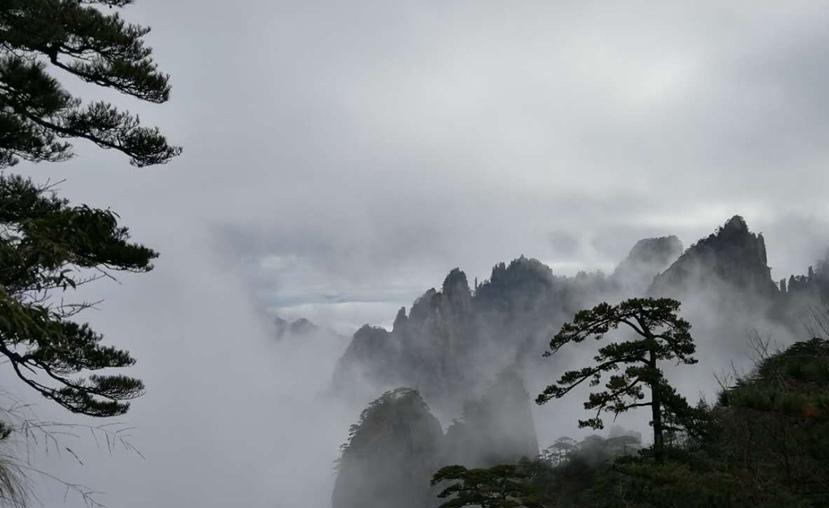 美！安徽黄山云海进入最佳观赏季 连日出现壮观云海