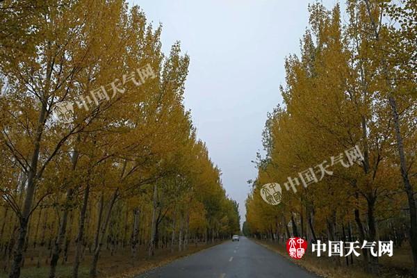 今天辽宁最高气温创新低 后天阜新朝阳跌破0℃