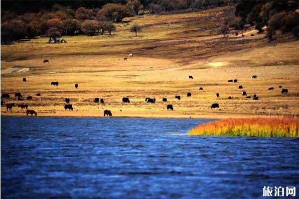 香格里拉景点攻略 香格里拉有什么好玩的