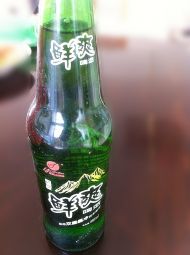 啤酒鸭的做法步骤5