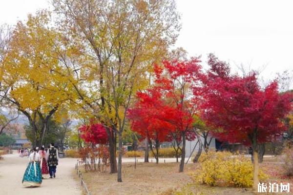韩国枫叶最佳观赏时间+观赏地点推荐
