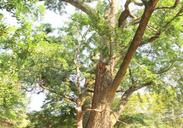 安徽马鞍山花山区风景名胜