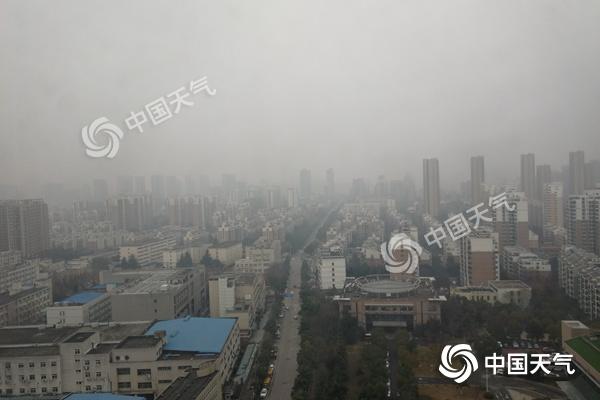 QQ图片20190129135208.jpg