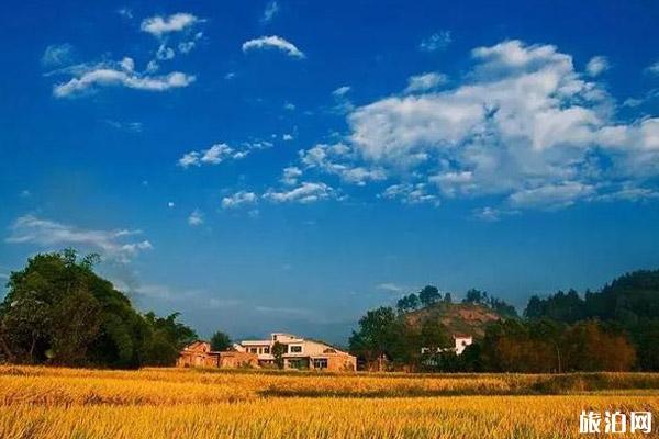 贵州秋游景点有哪些好玩的地方 贵州秋游景点有哪些好玩的地方