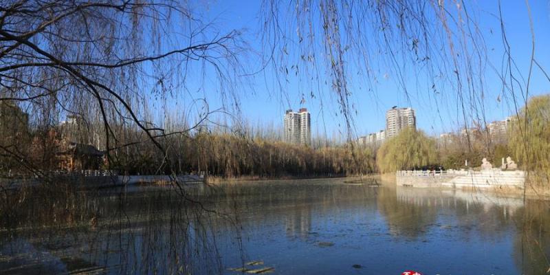 别再贪睡啦！银川空气质量好 市民晨起锻炼忙