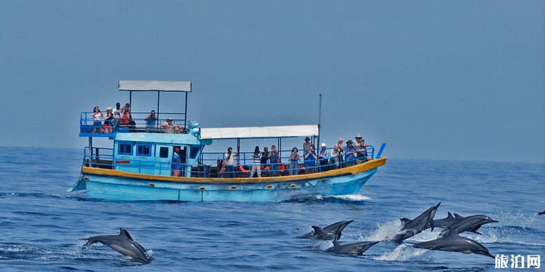 斯里兰卡八日游攻略（路线+推荐景点）