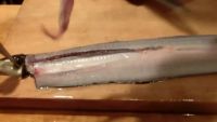 鳗鱼分切除骨的做法步骤4