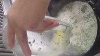 马齿笕鸡蛋羹的做法步骤9