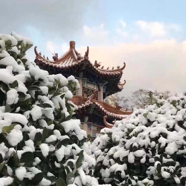 美不胜收！山东威海迎下半年初雪 雪花飞舞显冬意