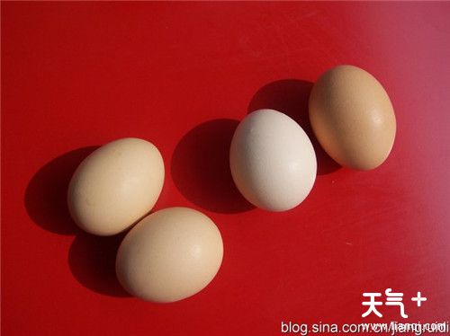 怎样判断鸡蛋是否变质 四个小妙招辨别鸡蛋的好坏