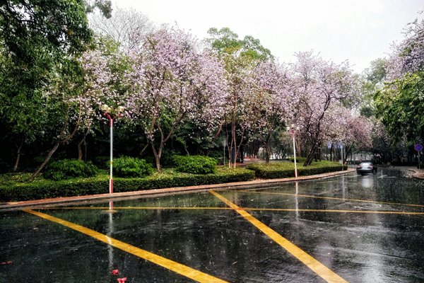 今明全国降水迅速缩减 黄淮到江南仍偏冷