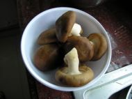 香菇猪肉水饺的做法步骤3