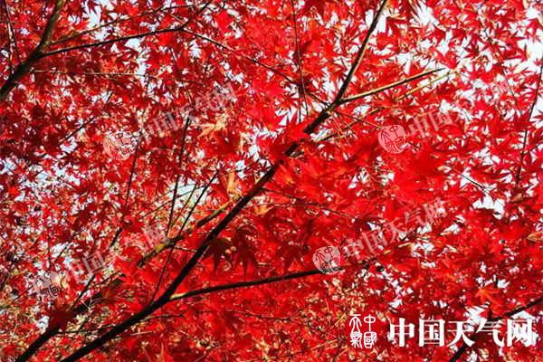江苏徐州淮安等地明天有重度霾 周一冷空气来袭驱霾降温
