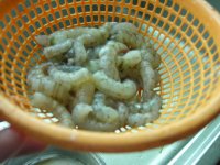 菠萝炒虾仁的做法步骤2