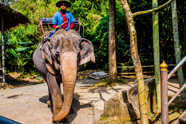 暑假适合去泰国吗 暑假去泰国多少钱
