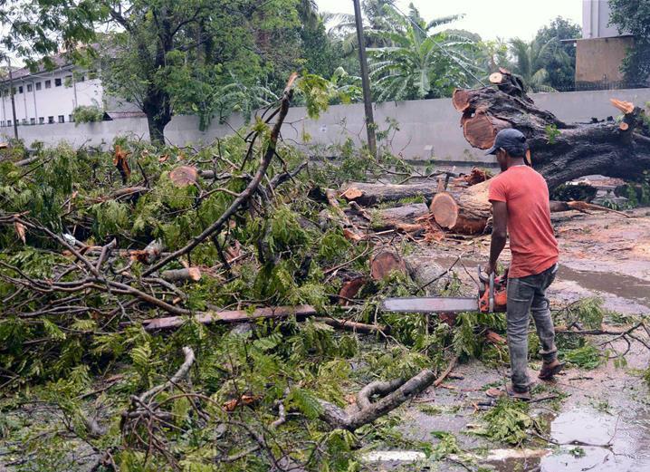 揪心！斯里兰卡暴雨造成7人死亡 