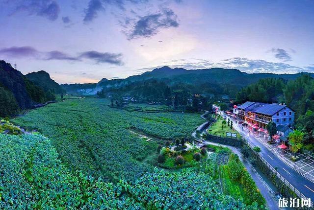 文成旅游美食攻略 文成县有什么好吃的特产 文成旅游美食攻略 文成县有什么好吃的特产