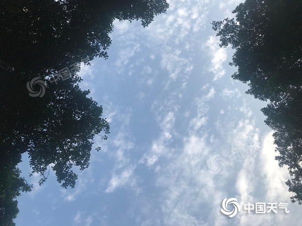 今晨重庆多地遭遇浓雾袭击 多条高速交通管制