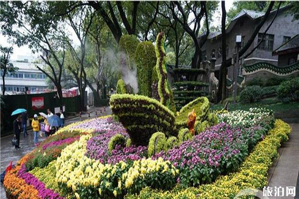 2019重庆鹅岭公园菊花展10月25日开启 附菊花展信息