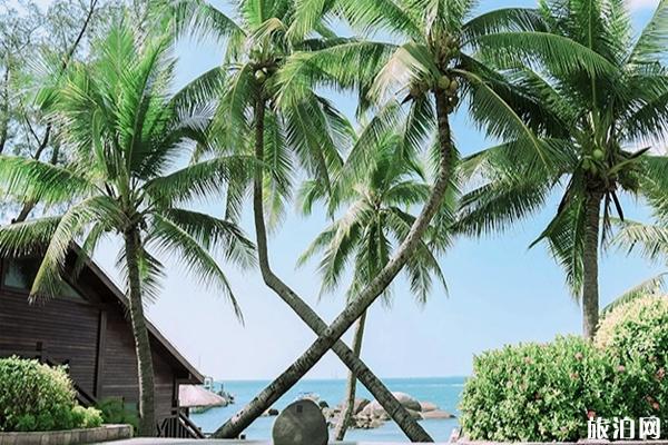 三亚天涯海角有哪些景点+景点介绍 三亚天涯海角有哪些景点+景点介绍