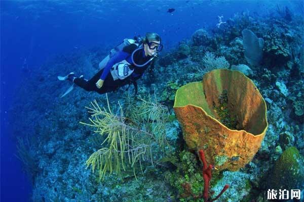 高氧潜水是什么 高氧潜水有什么危险