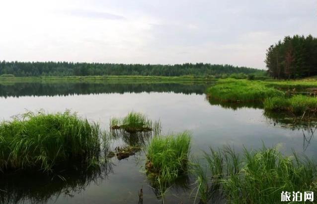 塞罕坝御道口自驾游旅游攻略