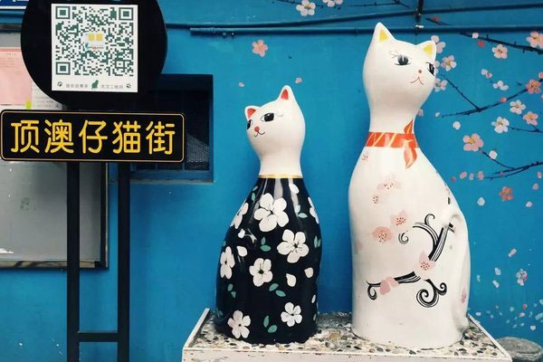 十一月去厦门穿什么衣服好 十一月去厦门穿衣指南