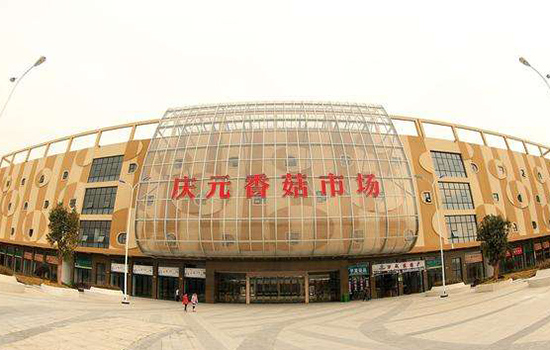 丽水有哪些地方可以购买特产 丽水特产购买地