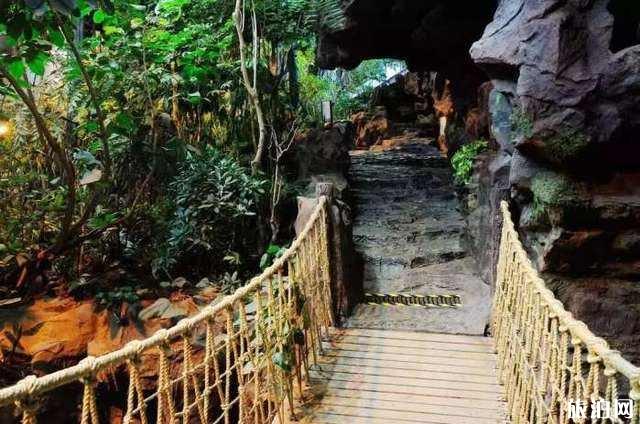 2019上海科技馆开放时间和门票费+推荐路线+展区介绍 2019上海科技馆开放时间和门票费+推荐路线+展区介绍