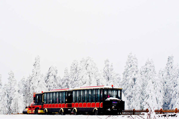 重庆滑雪好去处 重庆滑雪去哪儿好