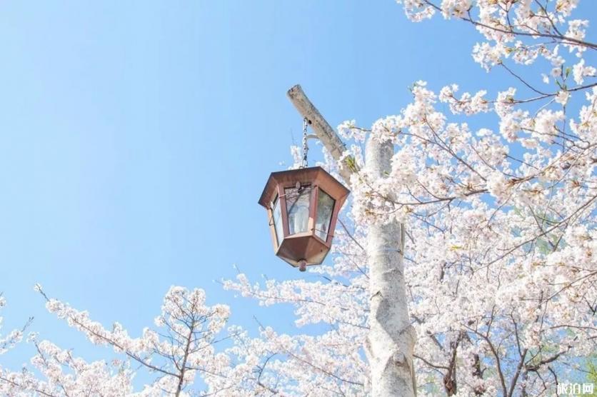 2019北海道6.1级地震最新消息 9月适合去北海道游玩吗