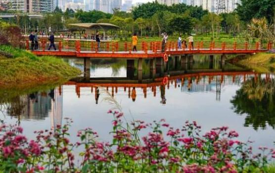 深圳好玩又不花钱的地方推荐