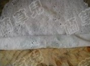 午后茶点之薄荷牛肉卷的做法步骤5