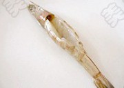 蒜茸开背虾的做法步骤1