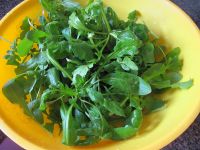 清新的荠菜煎饼的做法步骤1