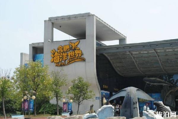 2019合肥海洋世界表演时间表+门票价格+游玩项目 2019合肥海洋世界表演时间表+门票价格+游玩项目