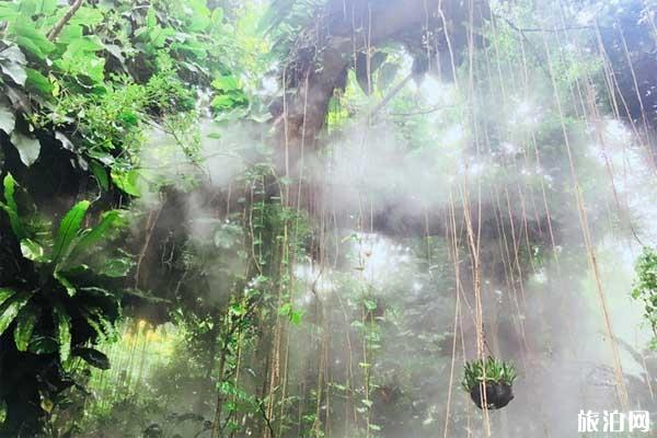 2019厦门园林植物园从哪个门进+讲解服务 2019厦门园林植物园从哪个门进+讲解服务