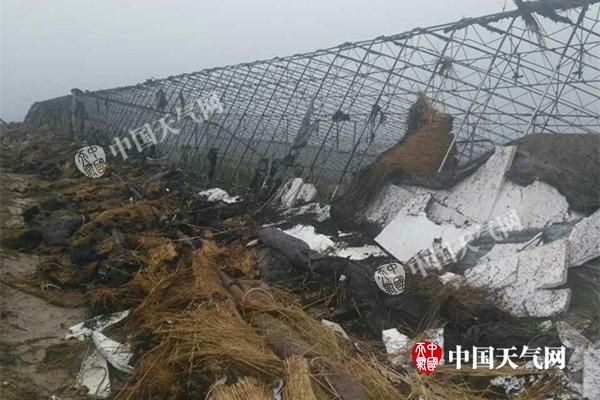 辽宁今明两天将迎降雨 多地气温骤降至个位数