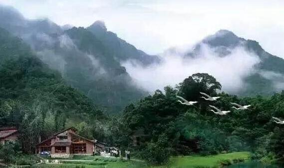 深圳清明节放假去哪里玩?