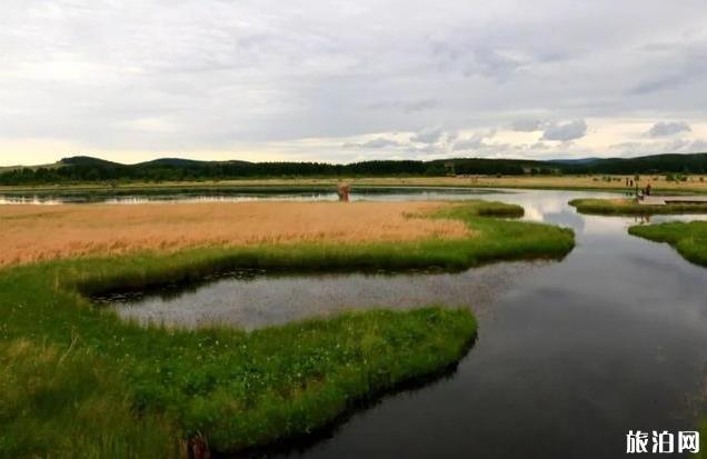 塞罕坝御道口自驾游旅游攻略
